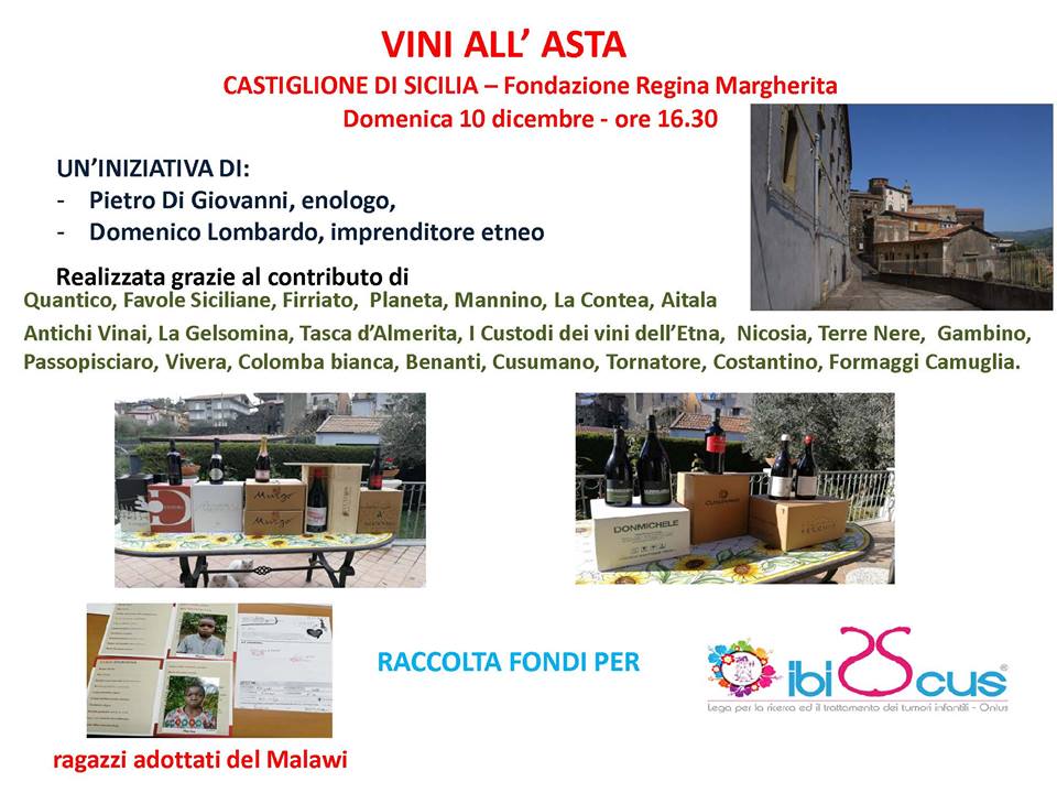 CASTIGLIONE DI SICILIA – VINI ALL’ASTA