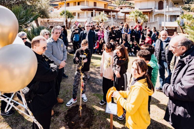 melograni ibiscus tumori giovanili brolo 2023 2 1