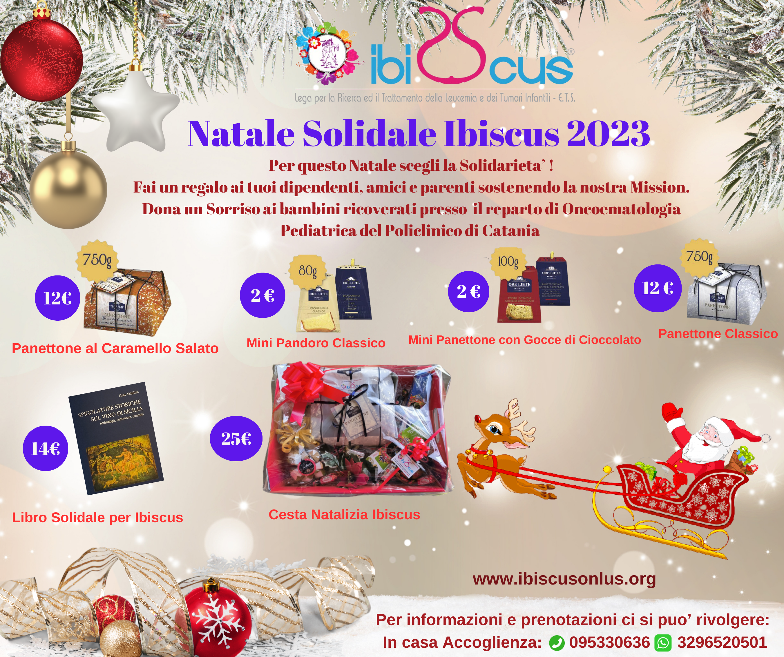 Natale 2023 IBISCUS 2